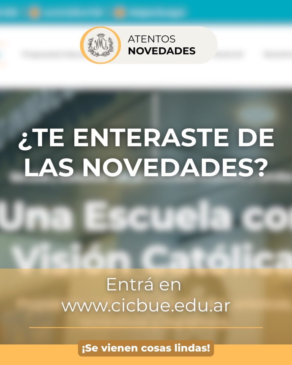 Instagram post from cicbue. This post is in position 5.